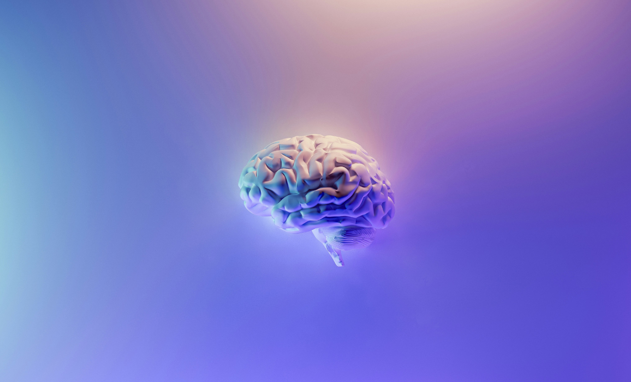 Brain Waves